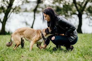 Genç kadın yaz Park active köpek yavrusu ile oynarken