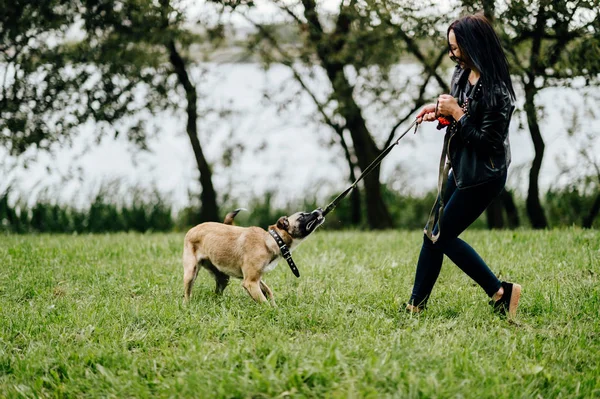 Mujer Joven Jugando Con Cachorro Activo Parque Verano —  Fotos de Stock