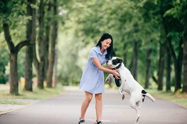 Alegre Joven Vestido Azul Con Gran Perro Blanco Negro Parque —  Fotos de Stock