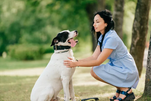 Alegre Joven Vestido Azul Con Gran Perro Blanco Negro Parque —  Fotos de Stock