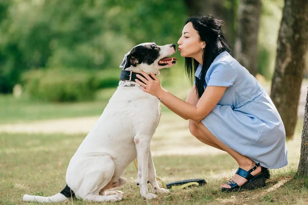 Cheerful Young Woman Blue Dress Big Black White Dog Summer — Stock Photo, Image