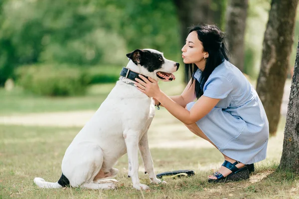 夏の公園の大きな黒と白の犬と青いドレスの陽気な若い女性 — ストック写真