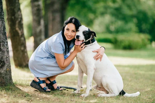 夏の公園の大きな黒と白の犬と青いドレスの陽気な若い女性 — ストック写真