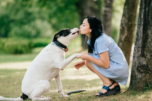 夏の公園の大きな黒と白の犬と青いドレスの陽気な若い女性 — ストック写真