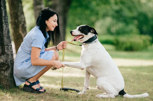 Alegre Joven Vestido Azul Con Gran Perro Blanco Negro Parque —  Fotos de Stock