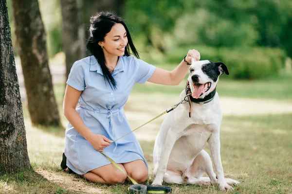 neşeli genç kadınla mavi elbiseli yaz Park büyük siyah ve beyaz köpek