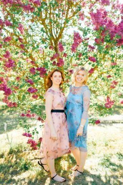 çiçeklenme içinde farklı elbiseler çekici ikiz kardeşler Botanik Bahçesi yaz