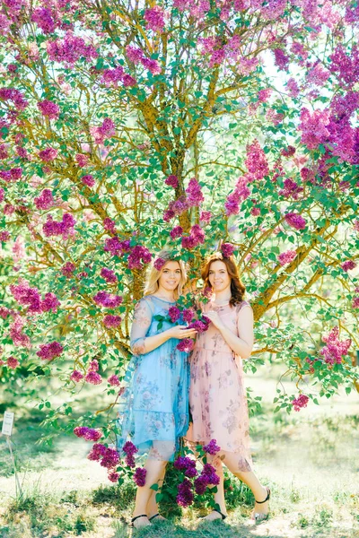Aantrekkelijke Tweelingzusjes Verschillende Jurken Tijdens Bloei Zomer Botanische Tuin — Stockfoto