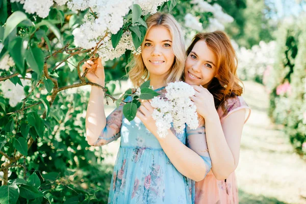 Привабливі Сестри Близнюки Різних Сукнях Квітучому Літньому Ботанічному Саду — стокове фото
