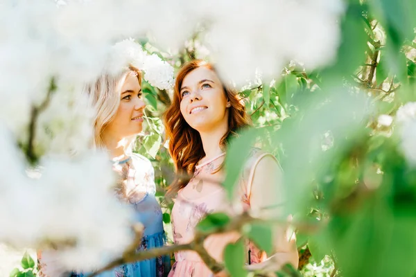 Jolies Sœurs Jumelles Dans Différentes Robes Fleurs Jardin Botanique Été — Photo