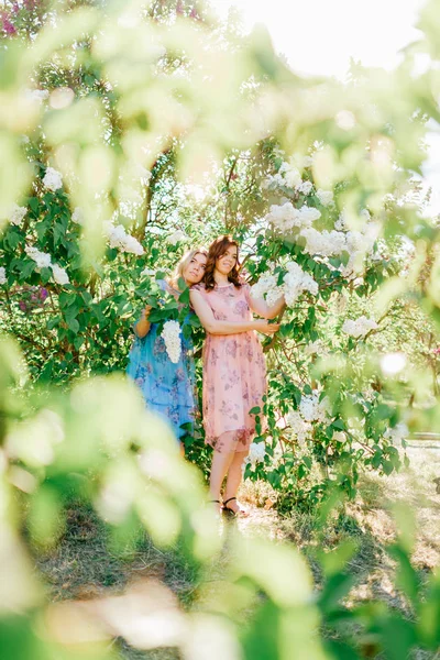 Mooie Jonge Tweelingzusjes Verschillende Jurken Tijdens Bloei Zomer Botanische Tuin — Stockfoto