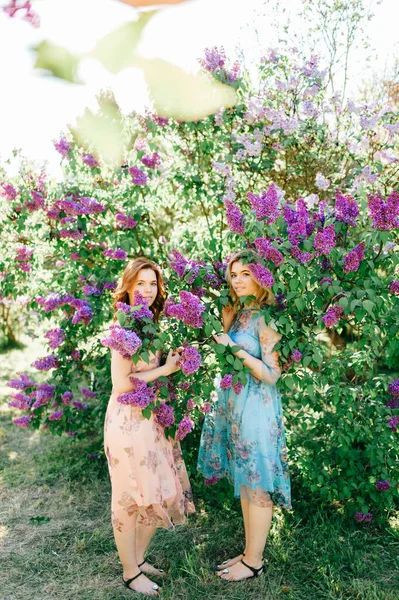 Hermosas Hermanas Gemelas Jóvenes Diferentes Vestidos Floreciente Jardín Botánico Verano —  Fotos de Stock