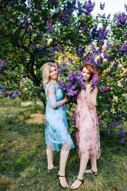  Genç ikiz kız çiçek leylak botanik bahçesi içinde ihale