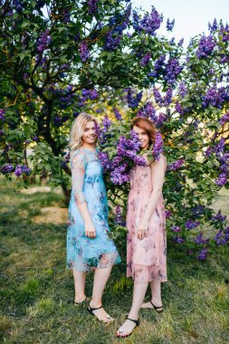  Genç ikiz kız çiçek leylak botanik bahçesi içinde ihale