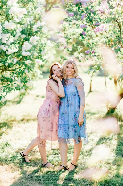 Молоді Сестри Близнюки Різних Сукнях Квітучому Літньому Ботанічному Саду — стокове фото