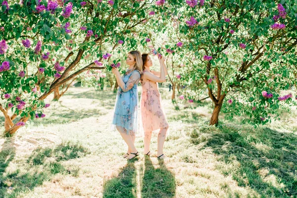 Молодые Сестры Близнецы Разных Платьях Цветущем Летнем Ботаническом Саду — стоковое фото