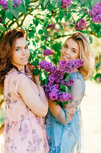 Молоді Сестри Близнюки Різних Сукнях Квітучому Літньому Ботанічному Саду — стокове фото