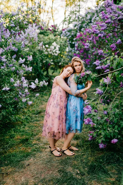 Jeunes Sœurs Jumelles Tendres Dans Jardin Botanique Lilas Fleurs — Photo