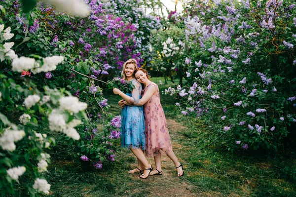 Jovem Concurso Irmãs Gêmeas Floração Jardim Botânico Lilás — Fotografia de Stock