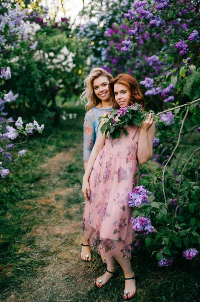 Jeunes Sœurs Jumelles Tendres Dans Jardin Botanique Lilas Fleurs — Photo