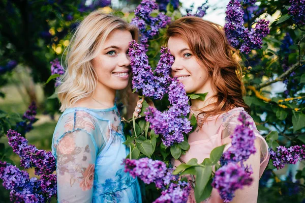 Jeunes Sœurs Jumelles Tendres Dans Jardin Botanique Lilas Fleurs — Photo