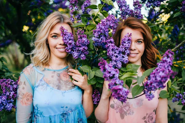 Jeunes Sœurs Jumelles Tendres Dans Jardin Botanique Lilas Fleurs — Photo