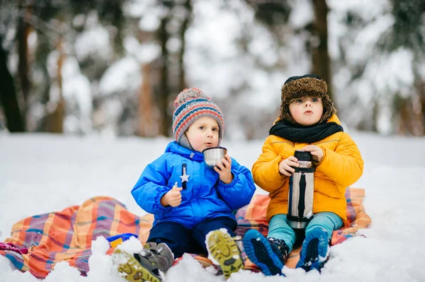 funny children in coats in winter forest