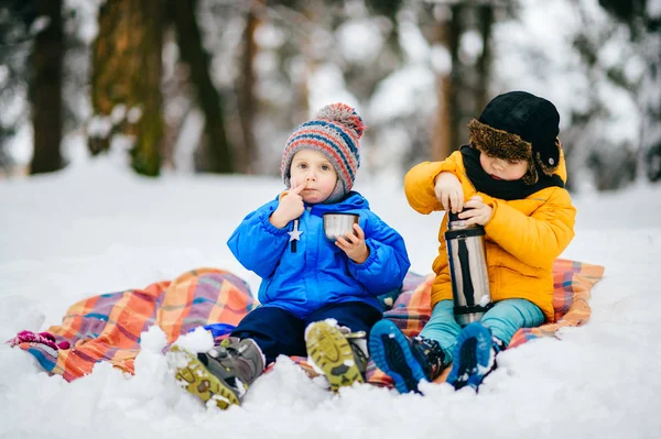 Drôles Enfants Manteaux Dans Forêt Hiver — Photo