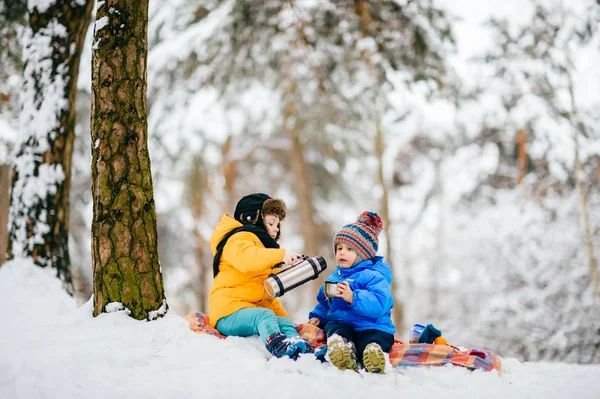 Crianças Engraçadas Casacos Floresta Inverno — Fotografia de Stock