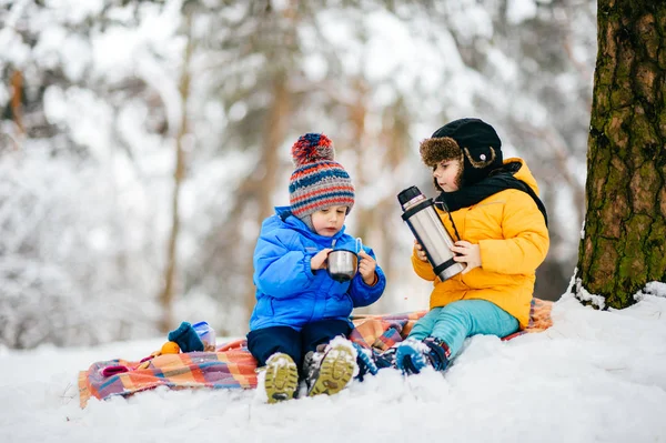 Divertenti Bambini Cappotti Nella Foresta Invernale — Foto Stock