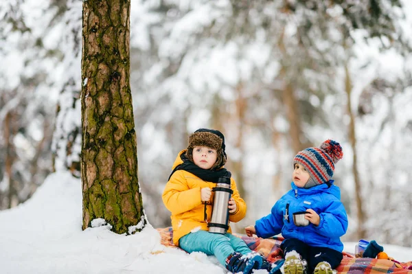 Roliga Barn Rockar Vinter Skog — Stockfoto