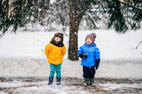 Vtipné Děti Pláštích Zimě Lese — Stock fotografie