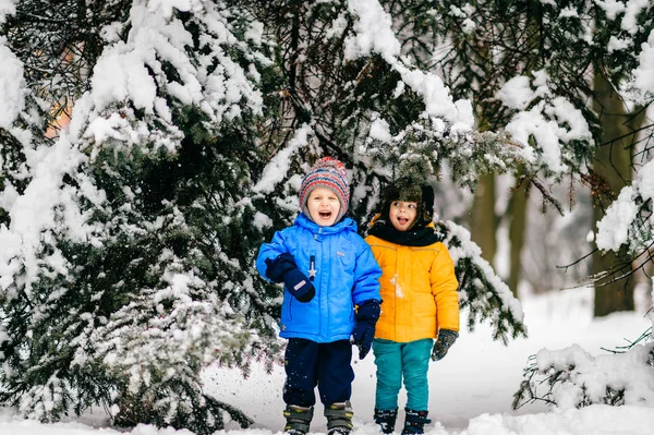 Divertenti Bambini Cappotti Nella Foresta Invernale — Foto Stock