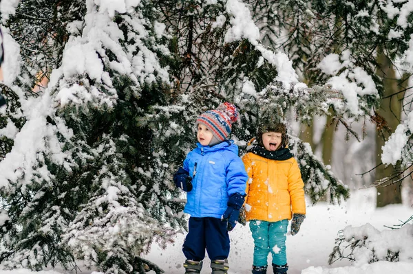 冬の森でのコートで面白い顔の子供 — ストック写真