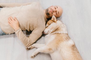 husky köpek ile katta yatan adam