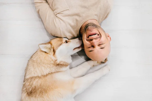 Homem Deitado Chão Com Cão Husky — Fotografia de Stock