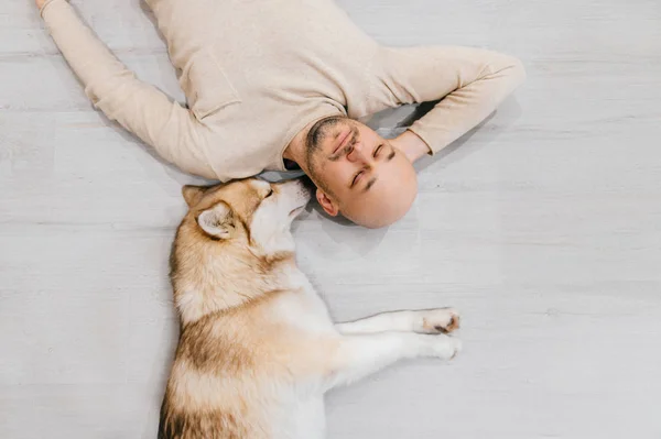 Homem Deitado Chão Com Cão Husky — Fotografia de Stock