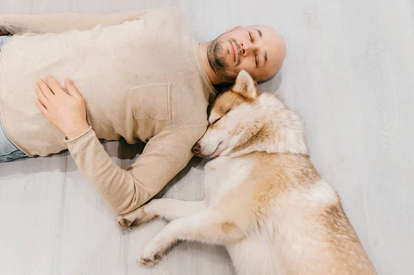 man lying on floor with husky dog