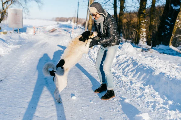 Muž Hraje Zatoulaný Pes Zimě Zasněžený Den — Stock fotografie