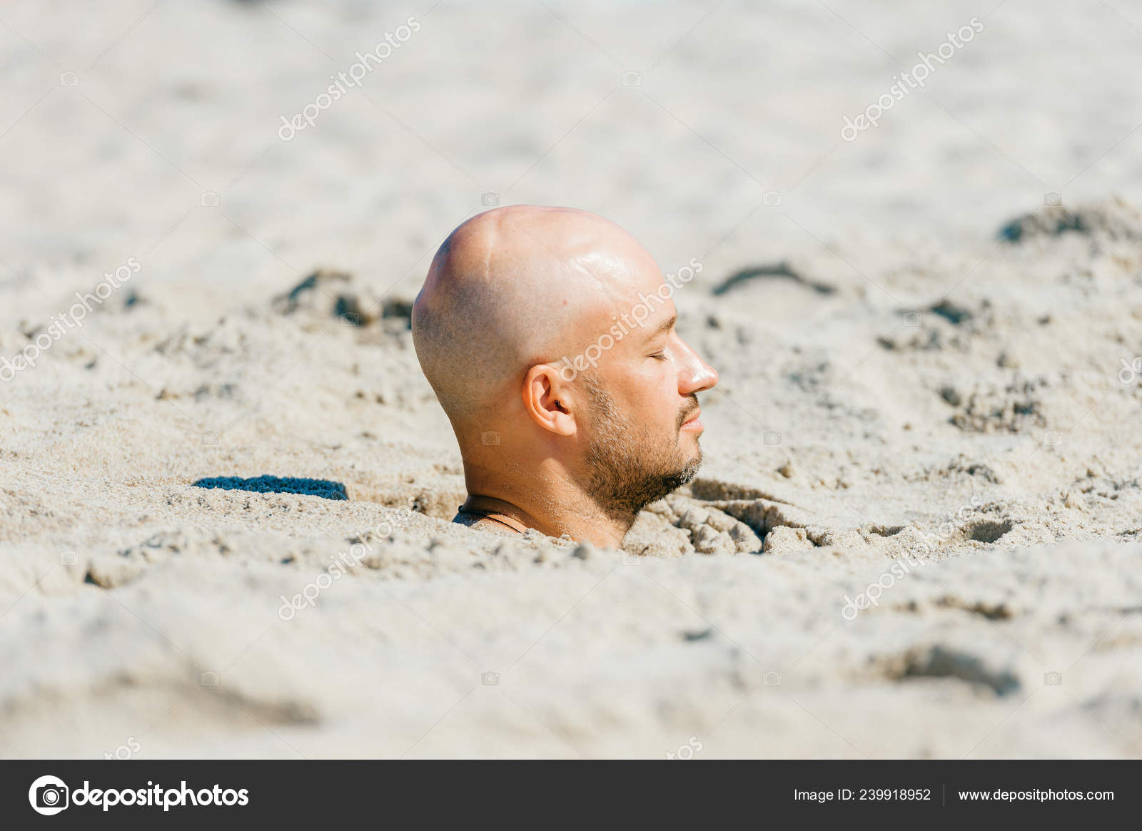 Get Books Buried in sand Free