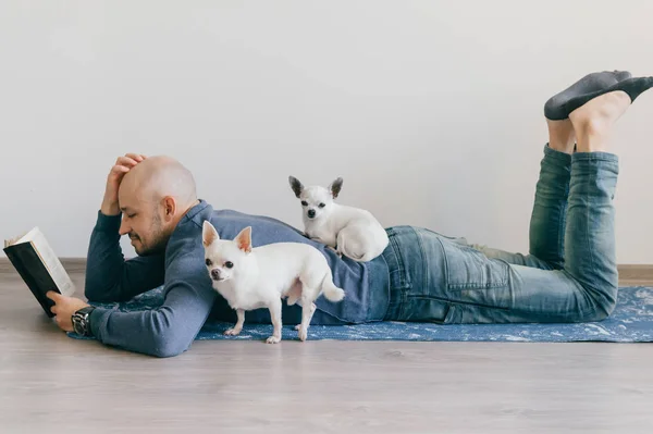 Homem Leitura Livro Com Chihuahua Filhotes Perto Casa — Fotografia de Stock
