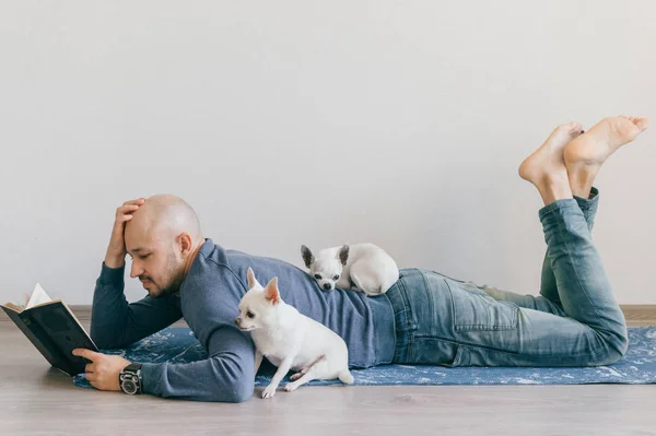 Mann Liest Buch Mit Chihuahua Welpen Der Nähe — Stockfoto