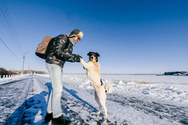 Чоловік Грає Бездомним Собакою Зимовий Сніжний День — стокове фото