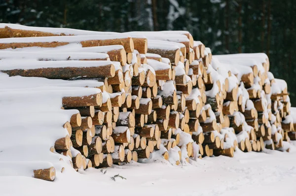 Woodpile Ξηρό Φωτιά Ξύλα Χειμώνα — Φωτογραφία Αρχείου