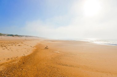 Akdeniz Sahil güzel doğal görünümü 