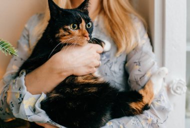 kadın yatakta otururken küçük kedi yavrusu sarılma kısmi görünümünü