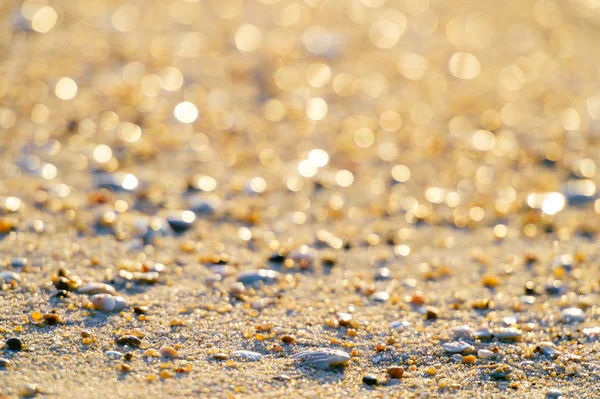 Sahilde Kum Taşlar Deniz Kabuklarını Görünümü Kadar Kapatın — Stok fotoğraf