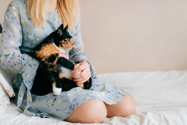 Vista Parcial Mujer Abrazando Poco Gatito Mientras Sentado Cama —  Fotos de Stock