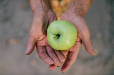 yaşlı kadın yaz bahçede duran elinde apple ile kısmi görünümünü