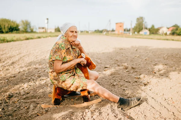 Old Woman Toy Horse Summer Field — Stock Photo, Image